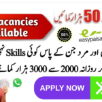 Jobs vacancy 2026